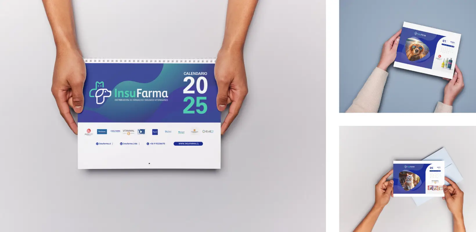 Grande 6 - Insufarma